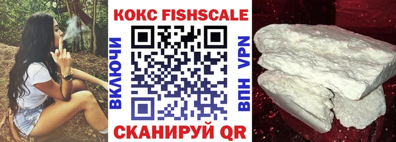 COCAIN Fish Scale  Купить  Котельниково 