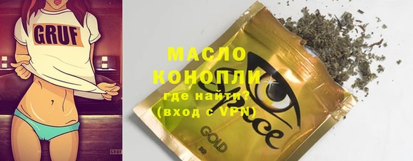 шишки Новодвинск