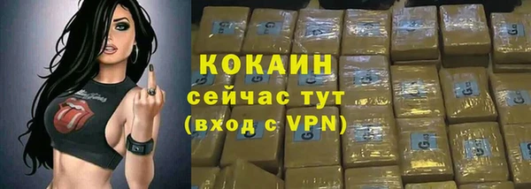 шишки Новодвинск