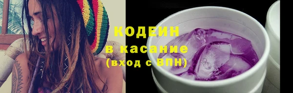 шишки Новодвинск