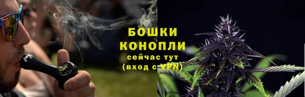 шишки Новодвинск