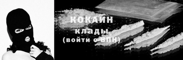 шишки Новодвинск
