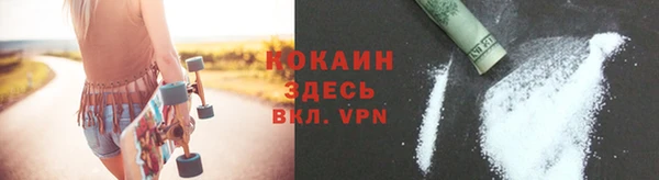 PSILOCYBIN Новокубанск