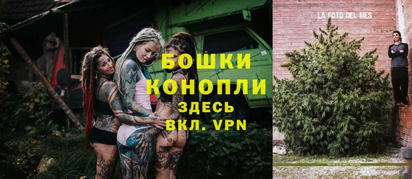 PSILOCYBIN Новокубанск