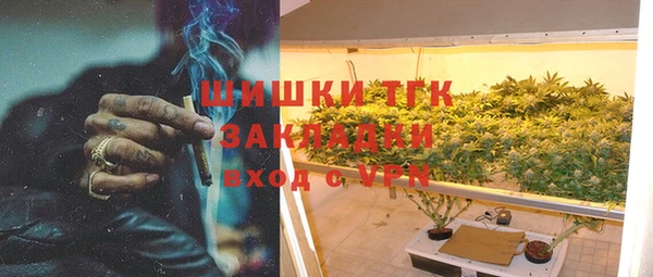 шишки Новодвинск