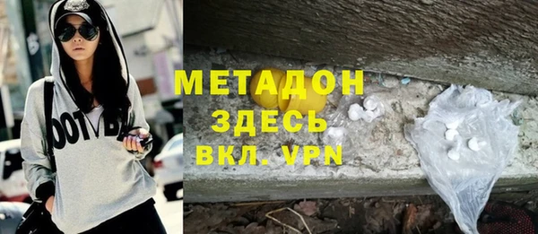 шишки Новодвинск